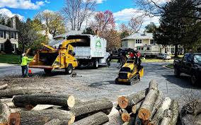 Best Firewood Processing and Delivery  in Sibley, IA